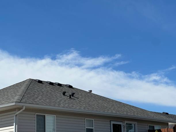 Best Green or Eco-Friendly Roofing Solutions  in Hasson Heights, PA